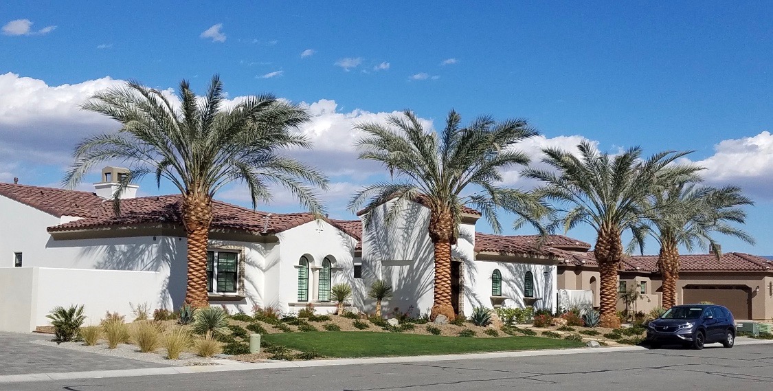 Established Medjool date palms framing a Mediterranean-style luxury residence